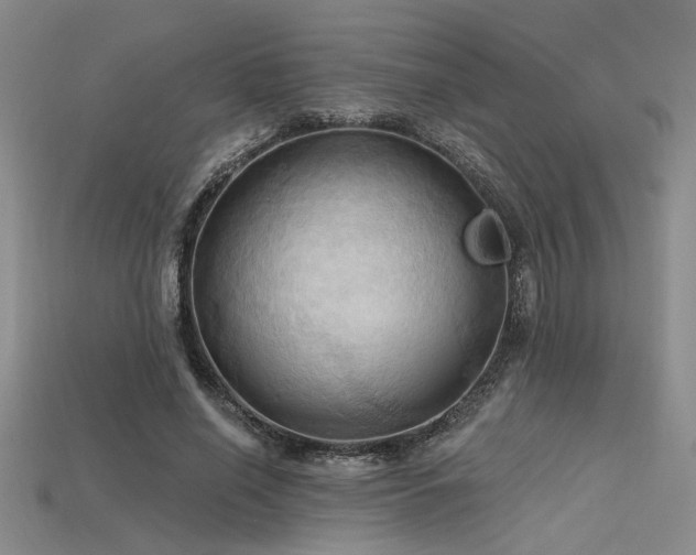 X0000115790638200911131309