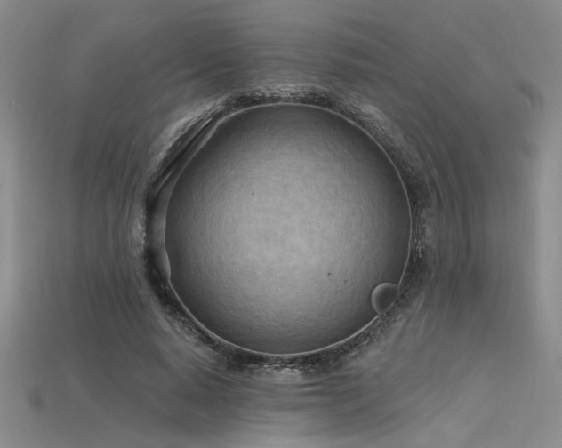 X0000115790640200911131309