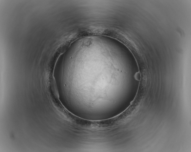 X0000115790641200911131309