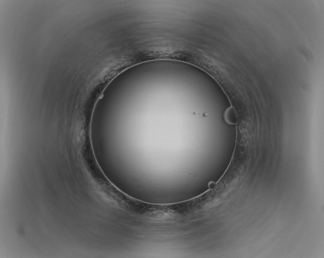 X0000115790642200911131309