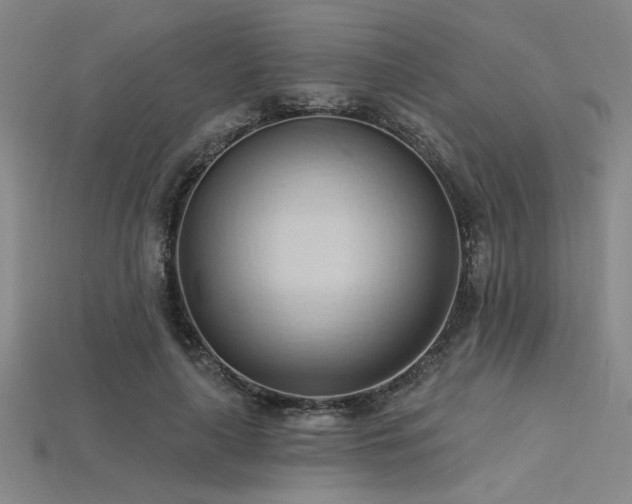 X0000115790643200911131309