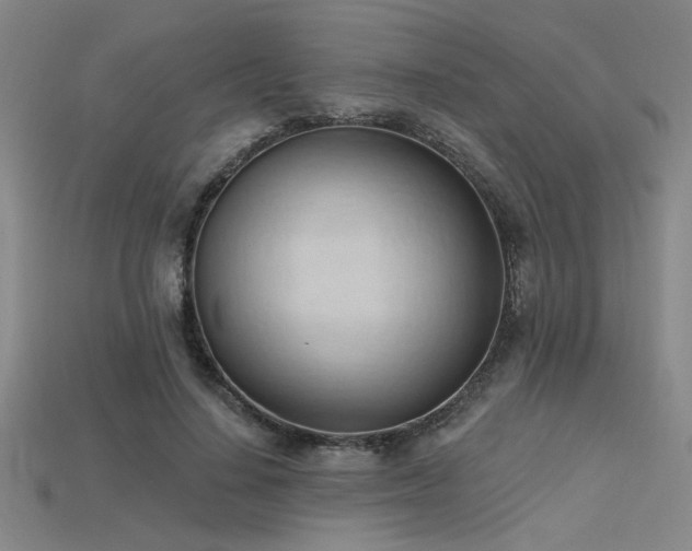 X0000115790644200911131309