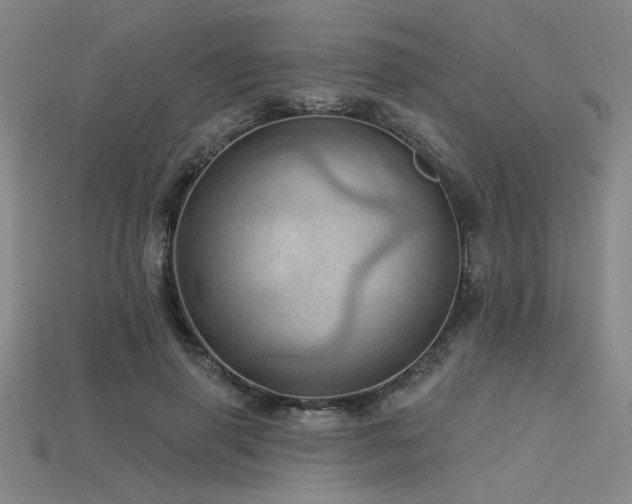 X0000115790645200911131309