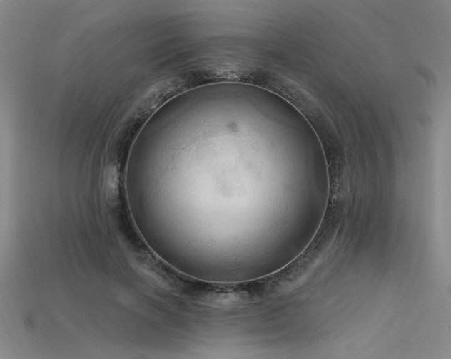 X0000115790646200911131309