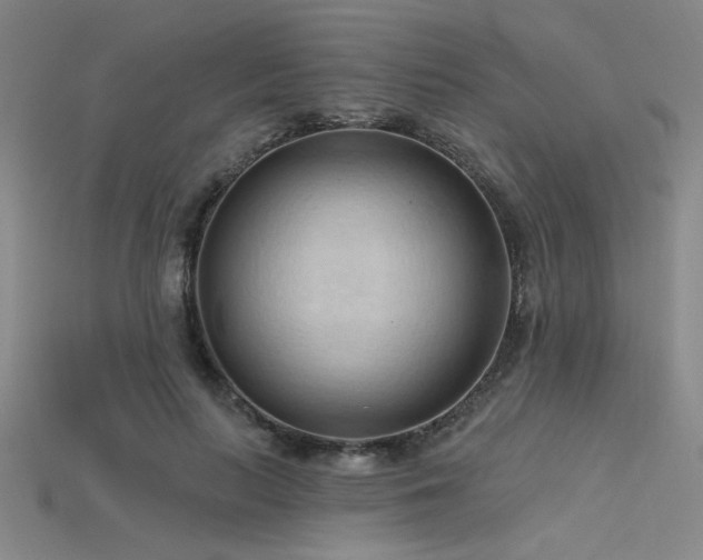 X0000115790647200911131309