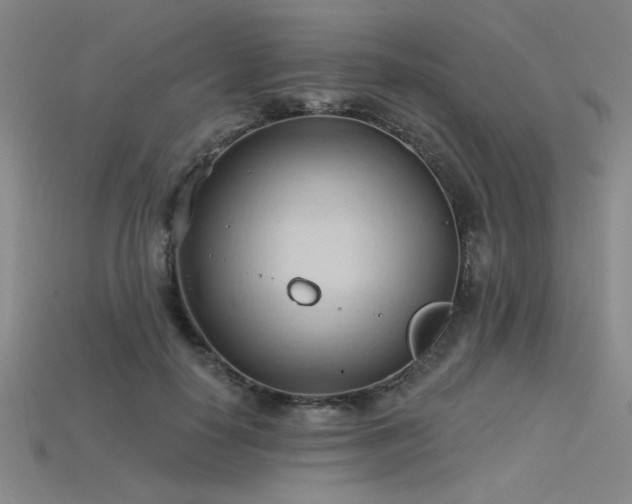 X0000115790650200911131309