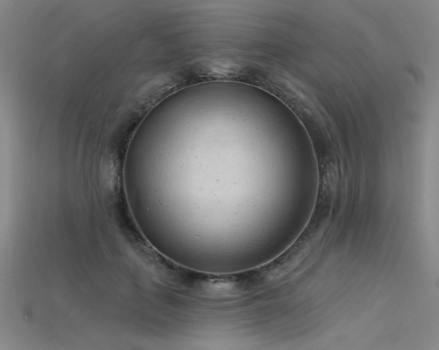 X0000115790651200911131309