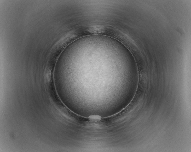 X0000115790652200911131309