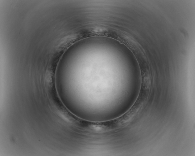 X0000115790654200911131309