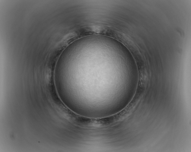 X0000115790656200911131309