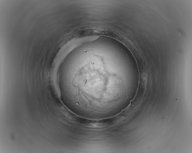 X0000115790657200911131309