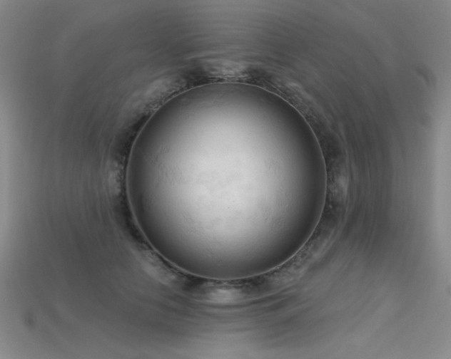 X0000115790658200911131309