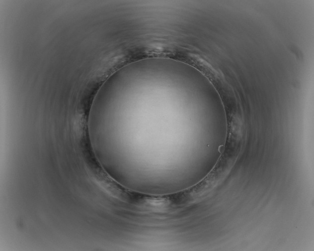 X0000115790659200911131309