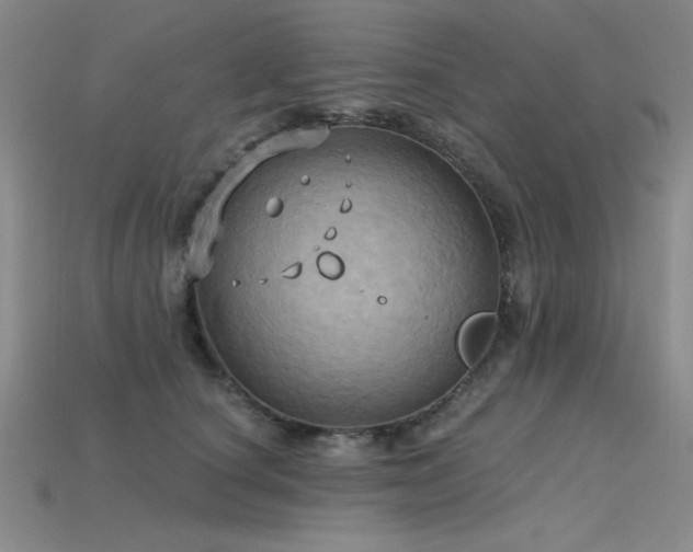 X0000115790660200911131309