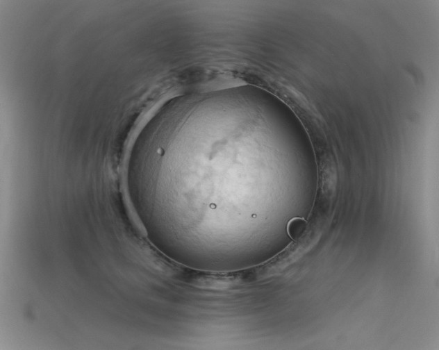 X0000115790661200911131309