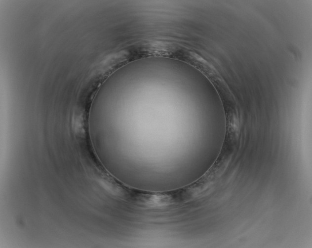 X0000115790663200911131309