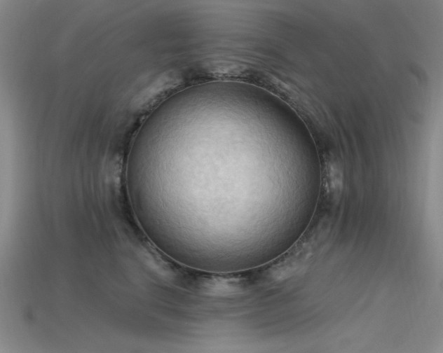 X0000115790664200911131309