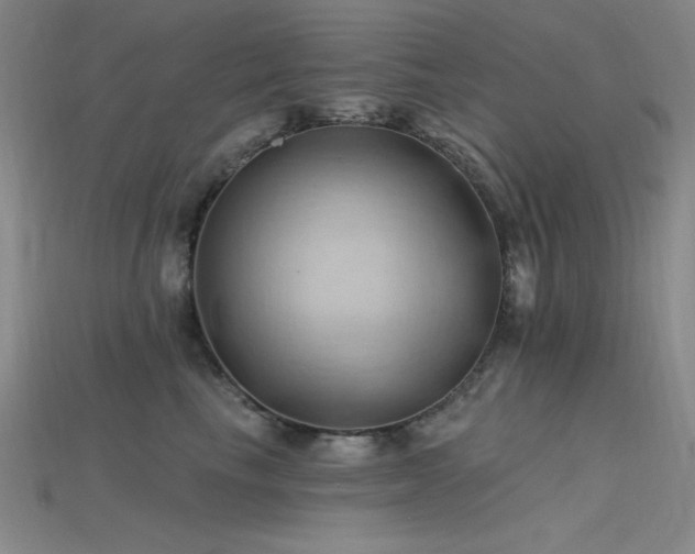 X0000115790665200911131309