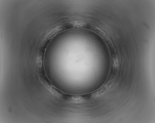 X0000115790666200911131309