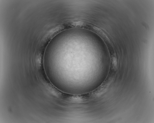 X0000115790668200911131309