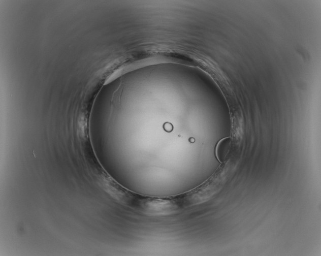 X0000115790669200911131309