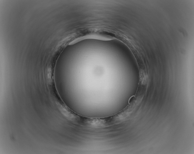 X0000115790670200911131309