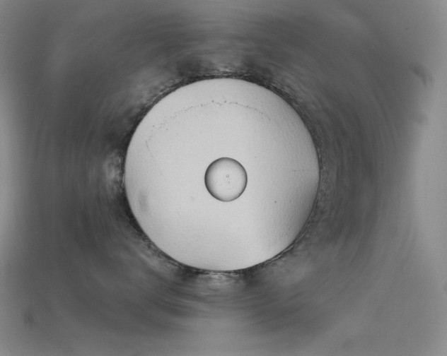 X0000115790672200911131309