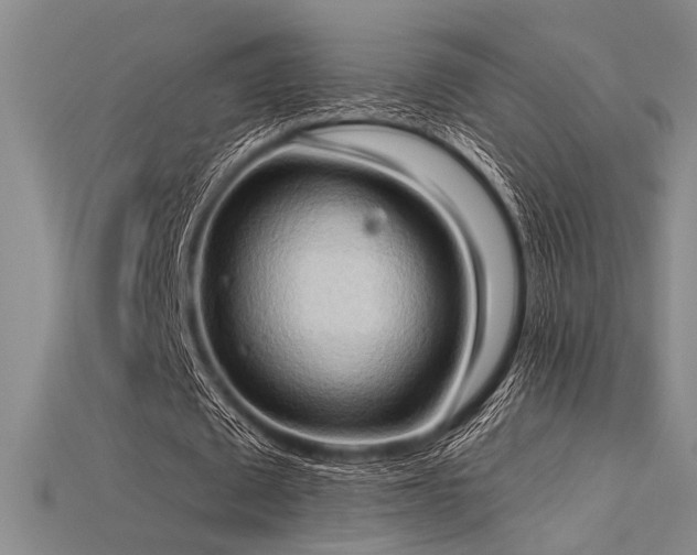 X0000115790673200911131309