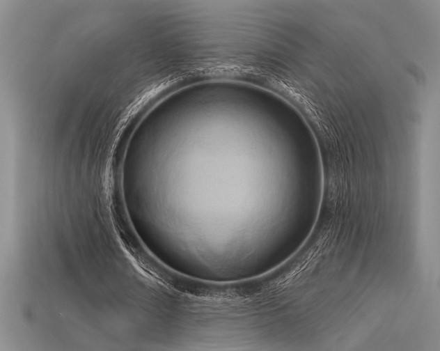 X0000115790674200911131309