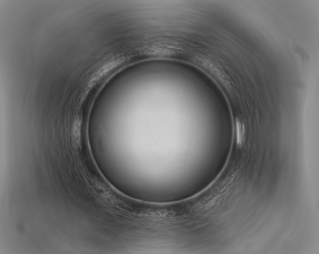 X0000115790675200911131309