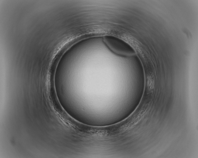 X0000115790676200911131309