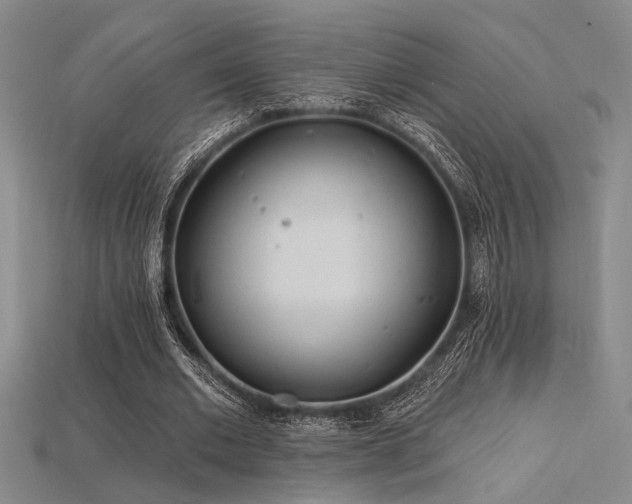 X0000115790677200911131309