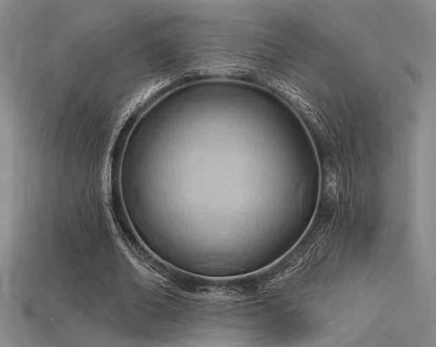 X0000115790678200911131308