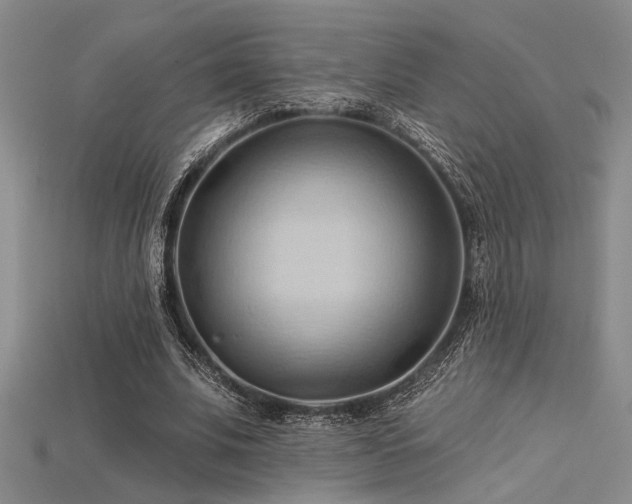 X0000115790679200911131308