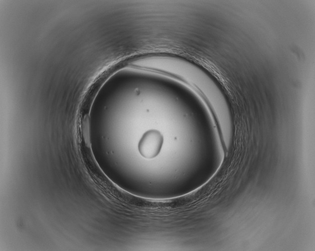 X0000115790680200911131308