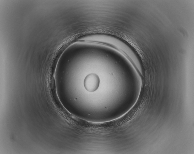 X0000115790681200911131308