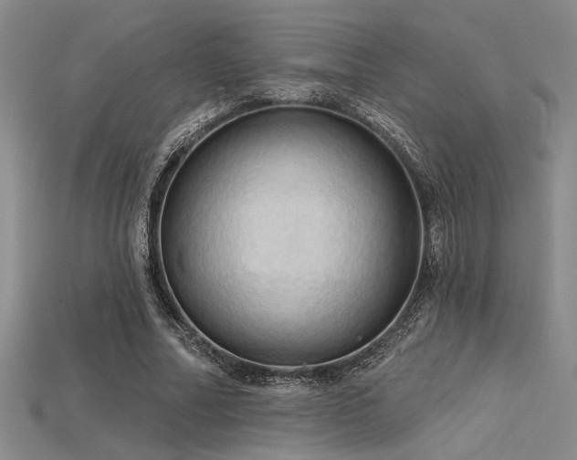 X0000115790682200911131308