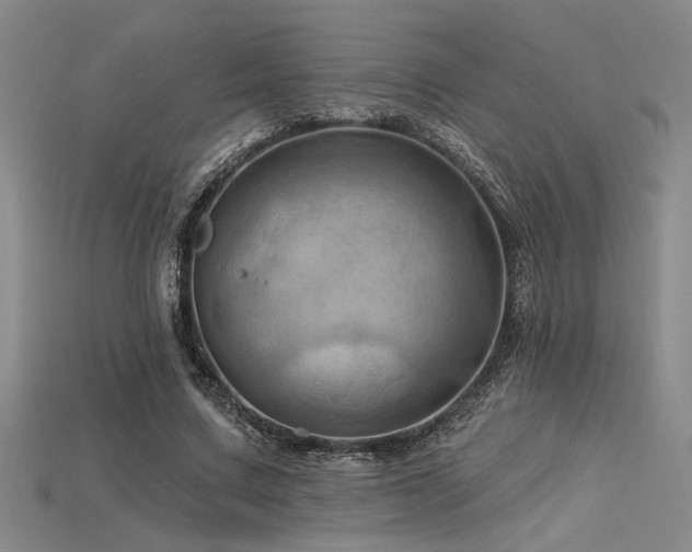 X0000115790683200911131308