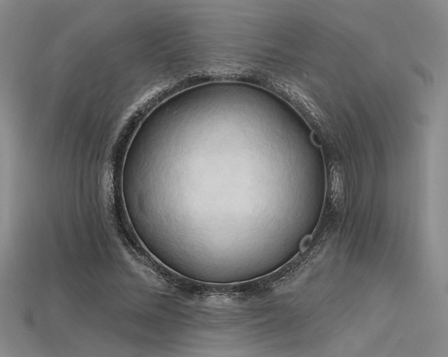 X0000115790684200911131308