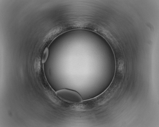 X0000115790685200911131308