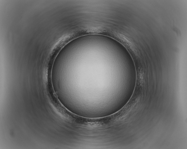 X0000115790686200911131308