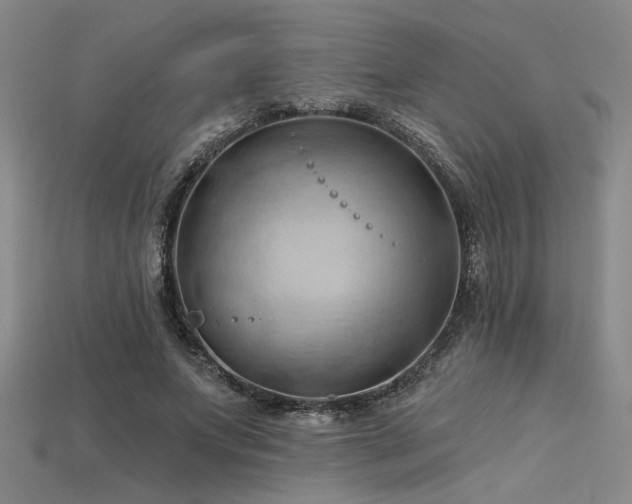 X0000115790687200911131308