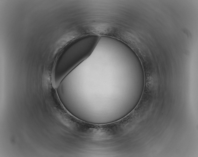 X0000115790688200911131308