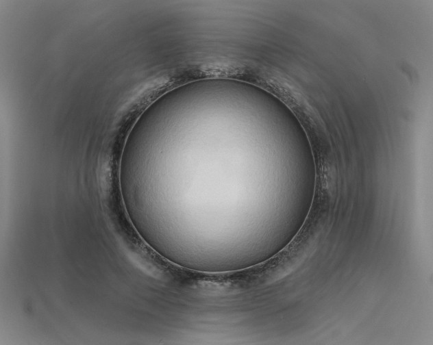 X0000115790690200911131308