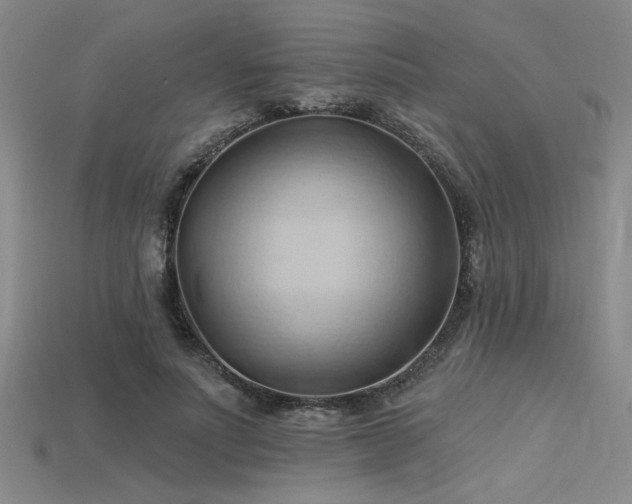 X0000115790691200911131308