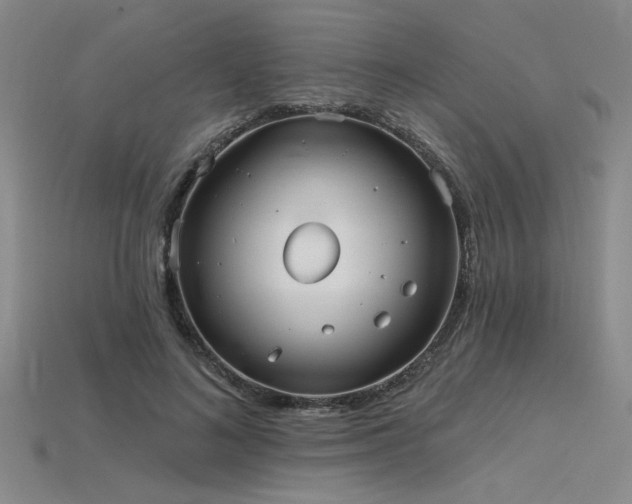 X0000115790692200911131308