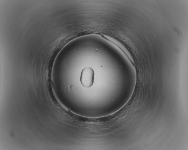 X0000115790693200911131308