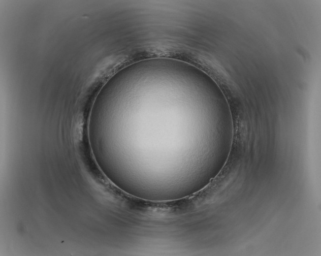 X0000115790694200911131308