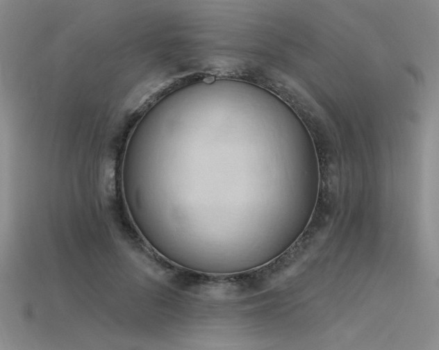 X0000115790696200911131308