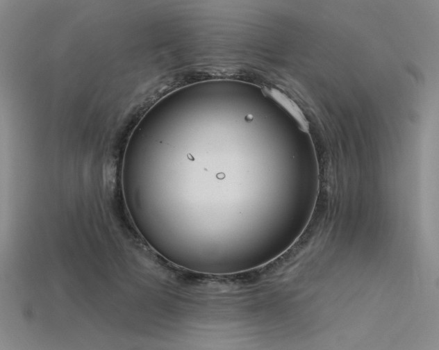 X0000115790697200911131308